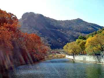 管家婆黑白马报图库，横踏黑道